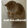 Ayşe hanımın stickerları 26