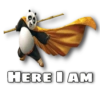 Kung Fu Panda 16