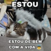 Chicória Maria #3 14