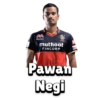 RCB (Bangalore) (IPL) 16