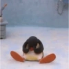 PINGU 10