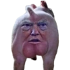 Trump  15