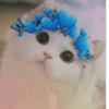 Michis Muy cutes 🩷🐱 9