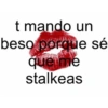 💗🩰MEMESITOS PERRONES✨💗 17