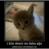 Ayşe hanımın stickerları 17