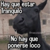 Memes con Frases #2🧠 12