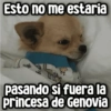 Esto no me estaria pasando si fuera la princesa de Genovia
