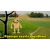 Cheems telugu 5.0 29
