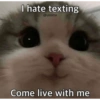Catscatacats9 17