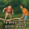 Ya wey que pndj wey