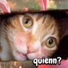 quienn?