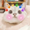 Michis Muy cutes 🩷🐱 12