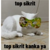 Biyu 9