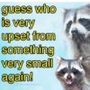 🐼🗑🦝 Raccoons l 🦝 🗑 🐼  21