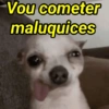 Doguinhos engraçados😂👇 9