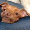 Funny 8