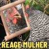 JÁ PERTURBOU O GRUPO HJ? 🤣 5