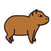 Chigüires (Capibara) 14
