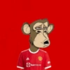 Manchester United 11