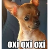 Deboche&sinceridade 12