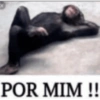 Ines brasil 13