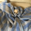 MÓ FRIO 🧣🧤🧦 9