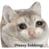 Gatitos tristes 7