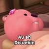 Au ah Dicuekin