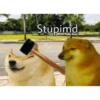Doggo 19