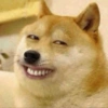 Meme anjing 15