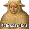 Yo forrada en lana