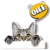 Pro dia a dia 18