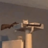Gatinhos engraçados😹 10