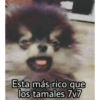 Randomssss pa lo que sea  11
