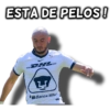 ESTA DE PELOS! - DHL ZJ Banca Mifa'