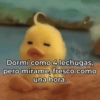 🥳 RAMDOM CONTESTABLES 😎 10