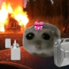 Cricetino Sad Hamster pt.3 7