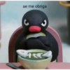 PINGU 12