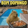 BOM DOMINGO