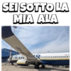 Altamura7 26