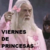 💗🩰MEMESITOS PERRONES✨💗 11