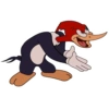 Picapau 7