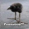🧿 Kiwi meme Damn🦩🥝 7