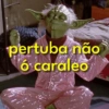 Surtos leves & memes ✨ 22