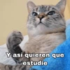 MASCOTAS @joshuacaprii 14