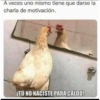 Jeje 22