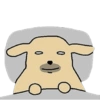 Nudaeng 🐶 Coreano Chamba 8