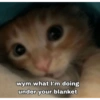 Catscatacats9 27