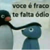 PINGUZITO 6