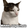 Mmmh, sospechoso